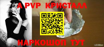 твердый Кингисепп