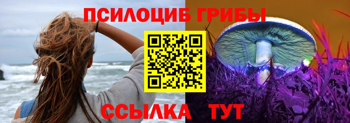 Псилоцибиновые грибы Cubensis Котельники