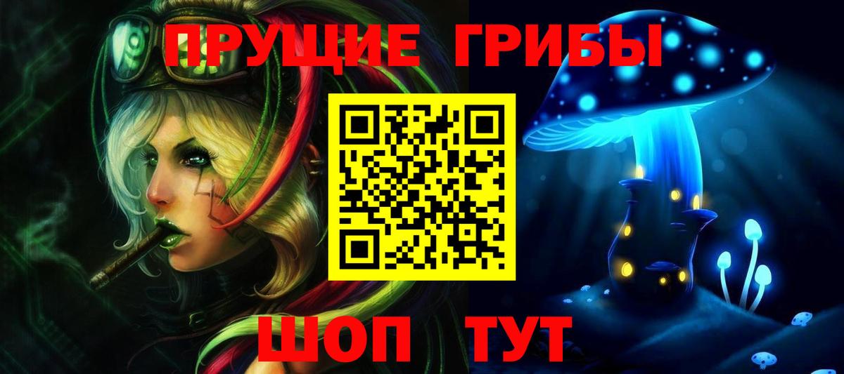 Котельники  Псилоцибиновые грибы GOLDEN TEACHER  Вход с VPN 